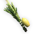 Lulav - Basic